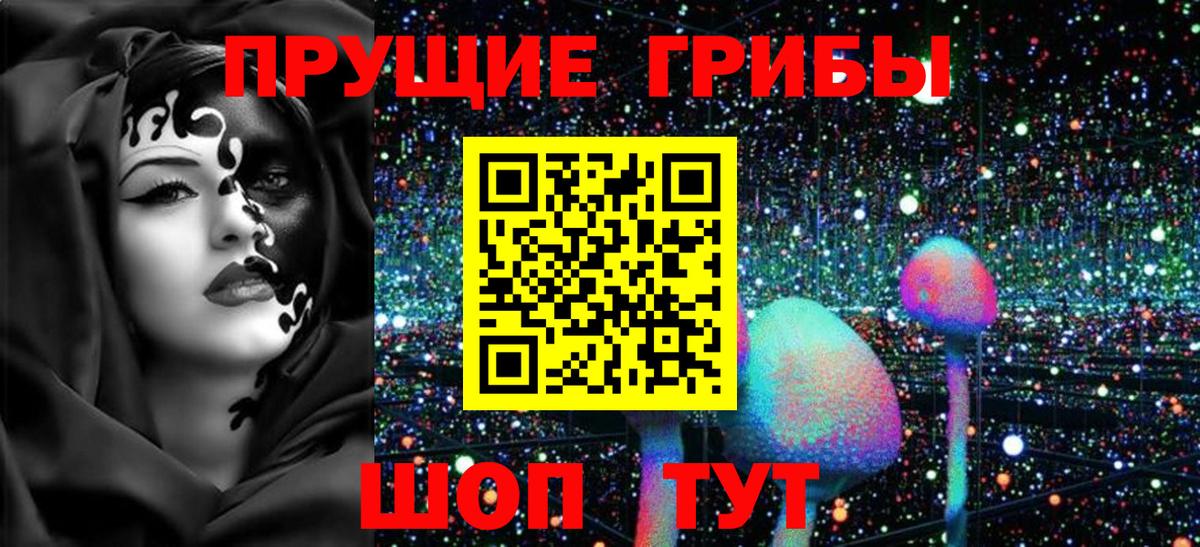 Псилоцибиновые грибы прущие грибы Грозный