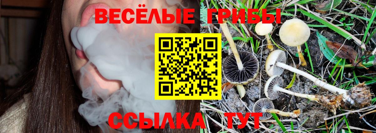 Псилоцибиновые грибы мухоморы  Вход с VPN  Грозный  Галлюциногенные грибы Cubensis 